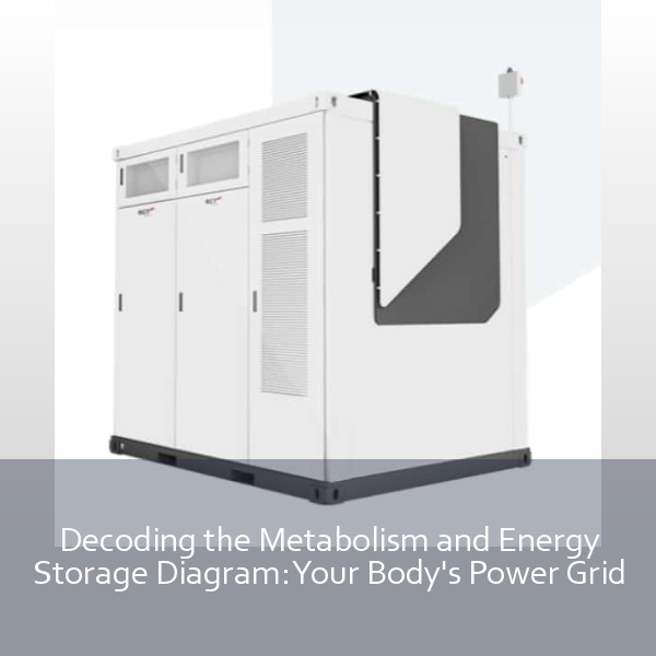 Decoding the Metabolism and Energy Storage Diagram: Your Body's Power Grid